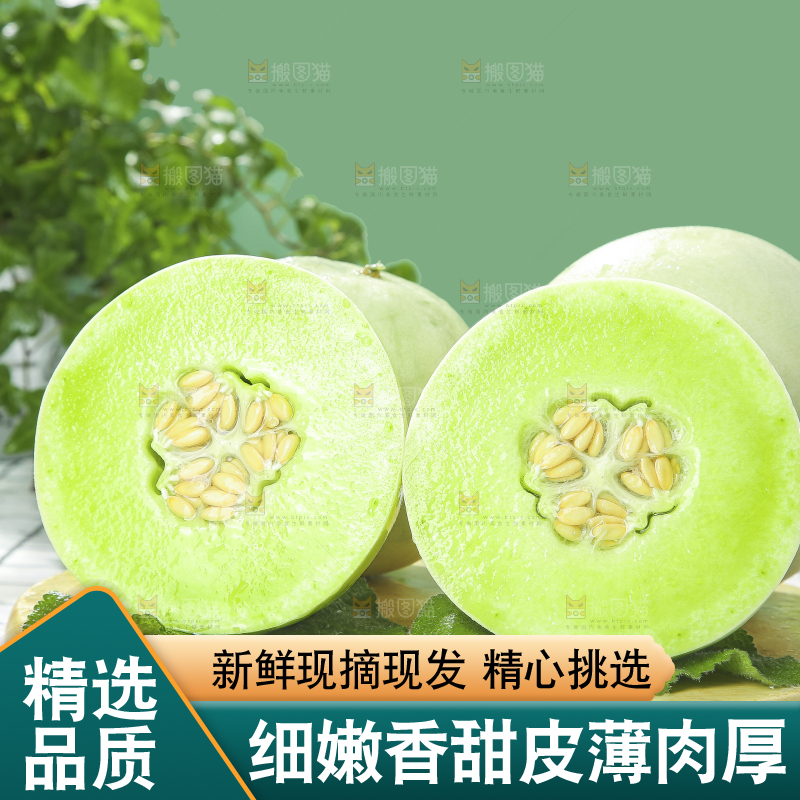 玉菇甜瓜主图