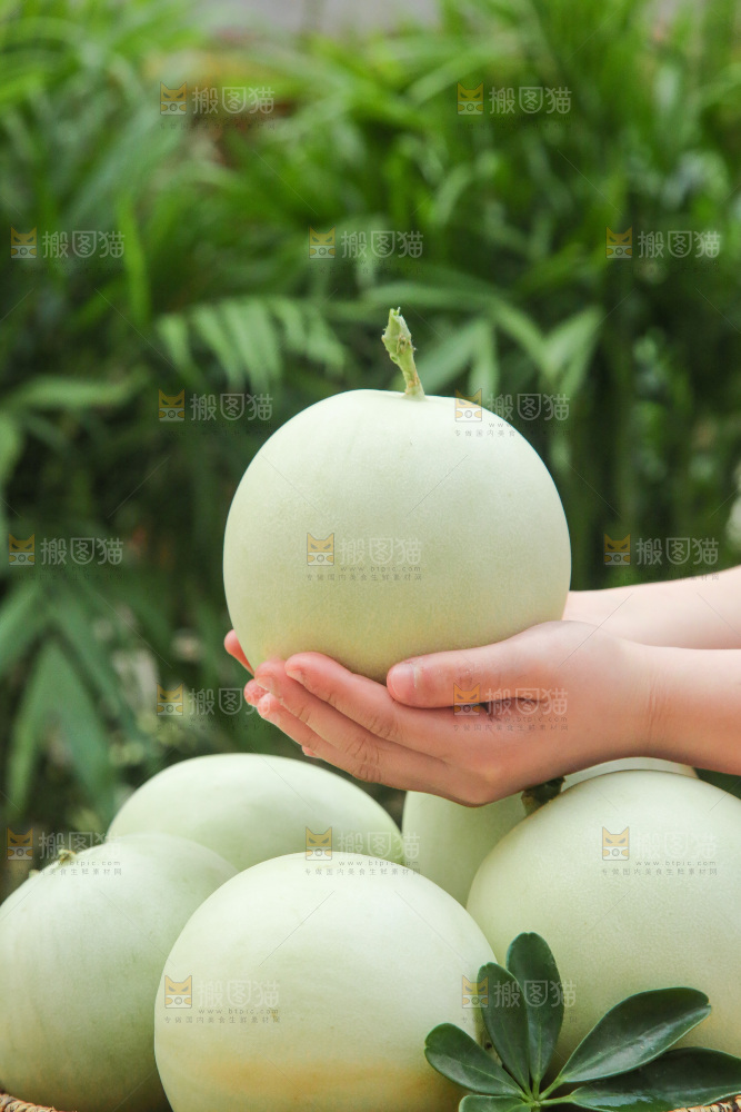手里拿着玉菇甜瓜