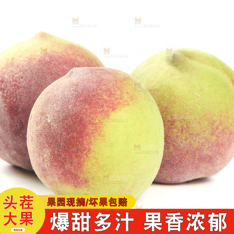 白底上的青州蜜桃