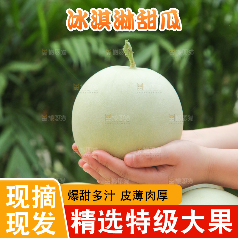 手里拿着玉菇甜瓜