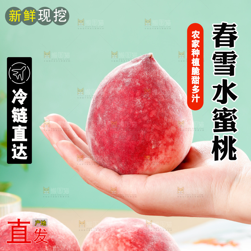 浅底上的春雪水蜜桃