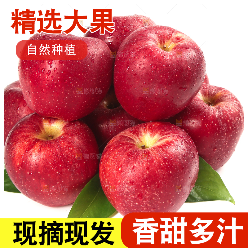 白底上的秦冠苹果