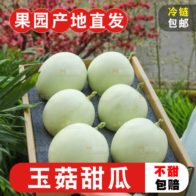 手里拿着玉菇甜瓜
