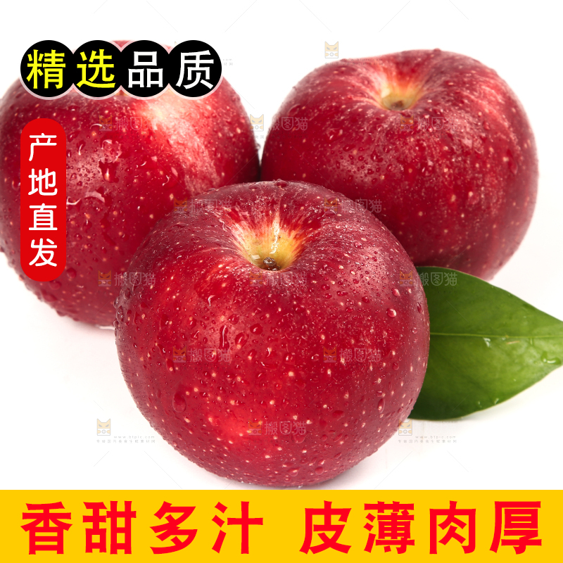 白底上的秦冠苹果