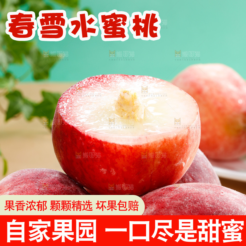浅底上的春雪水蜜桃