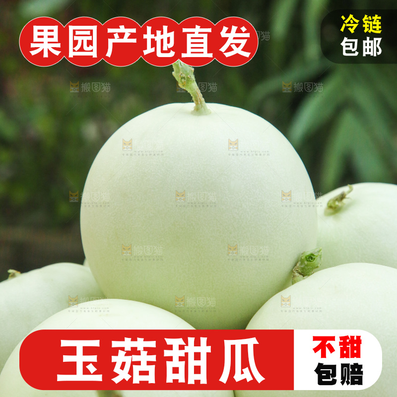 玉菇甜瓜主图