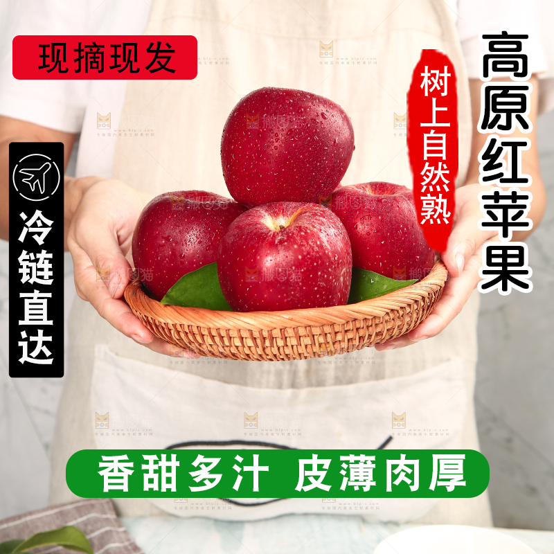 浅底上的秦冠苹果