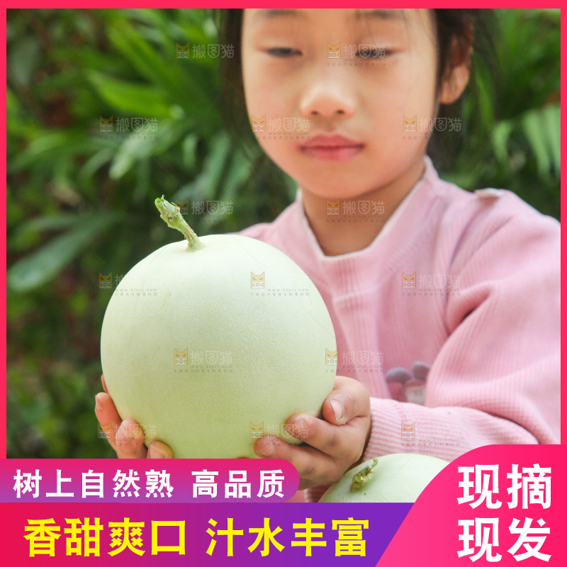 手里拿着玉菇甜瓜
