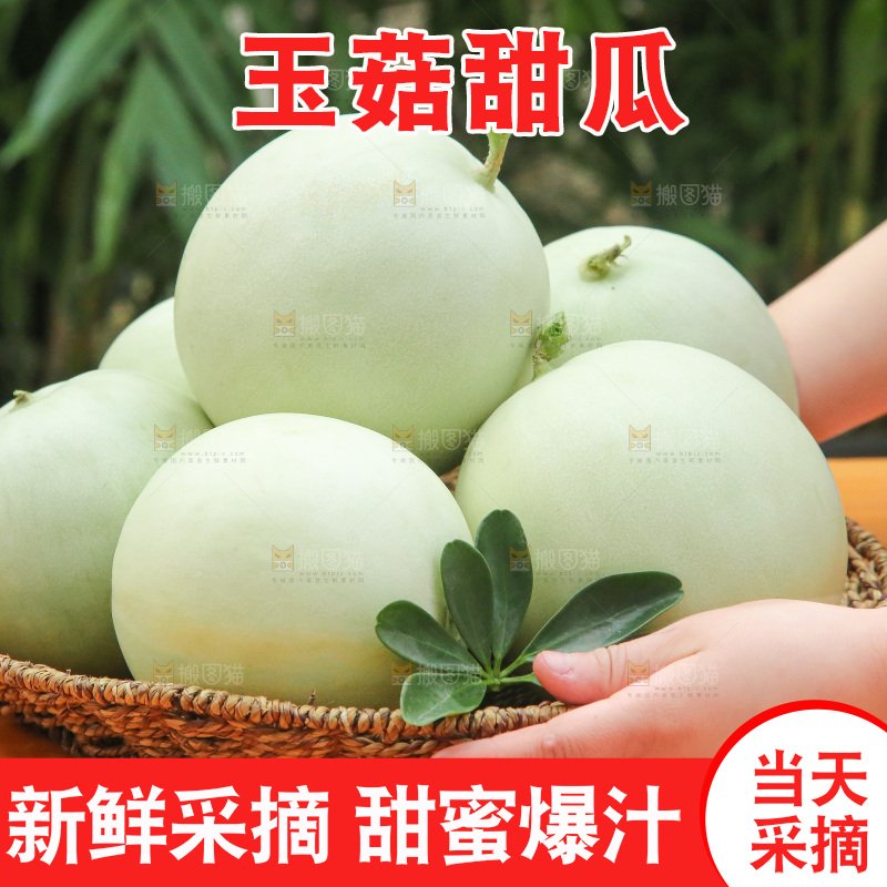 手里拿着玉菇甜瓜