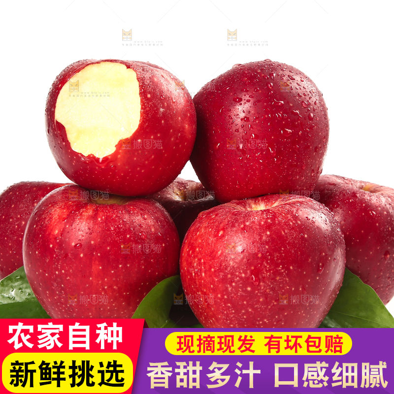 白底上的秦冠苹果