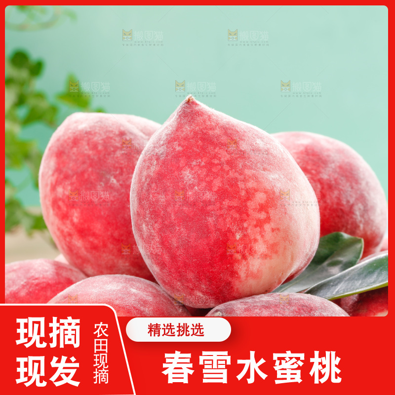 浅底上的春雪水蜜桃