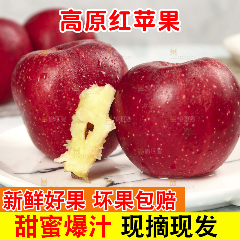 浅底上的秦冠苹果