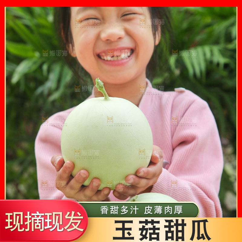 玉菇甜瓜主图