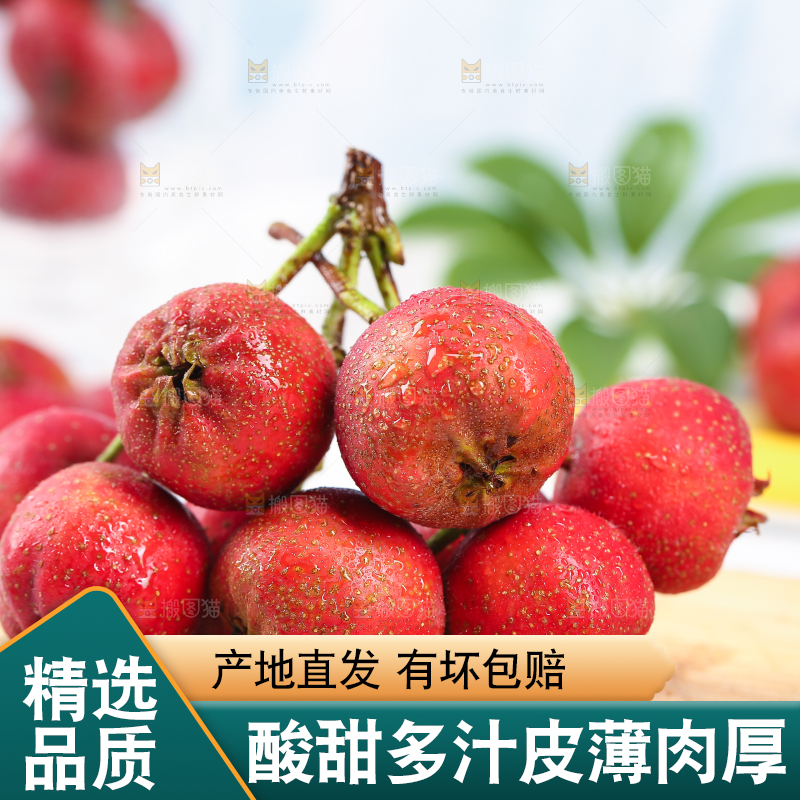 浅底上的新鲜山楂