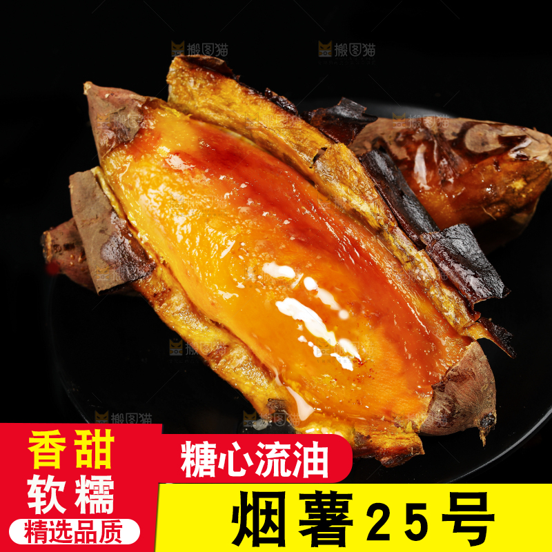 深底上的烟薯25号