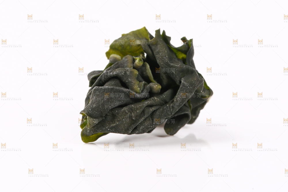 白底上的裙带菜
