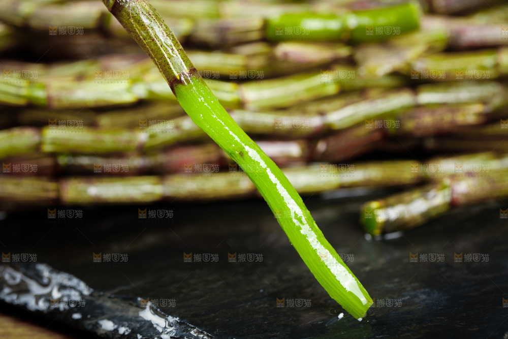 深底上的石斛鲜条