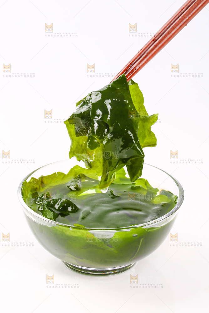 白底上的裙带菜