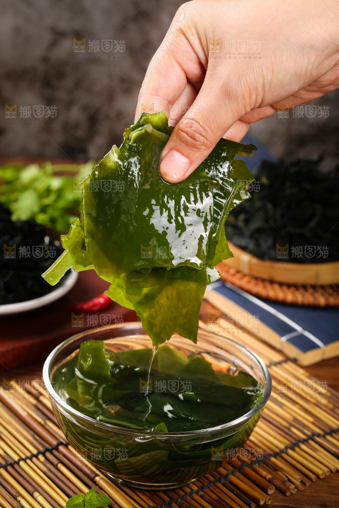 深底上的裙带菜