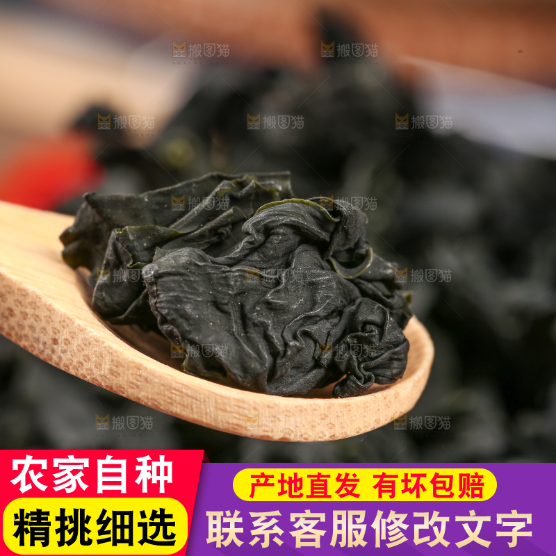 深底上的裙带菜