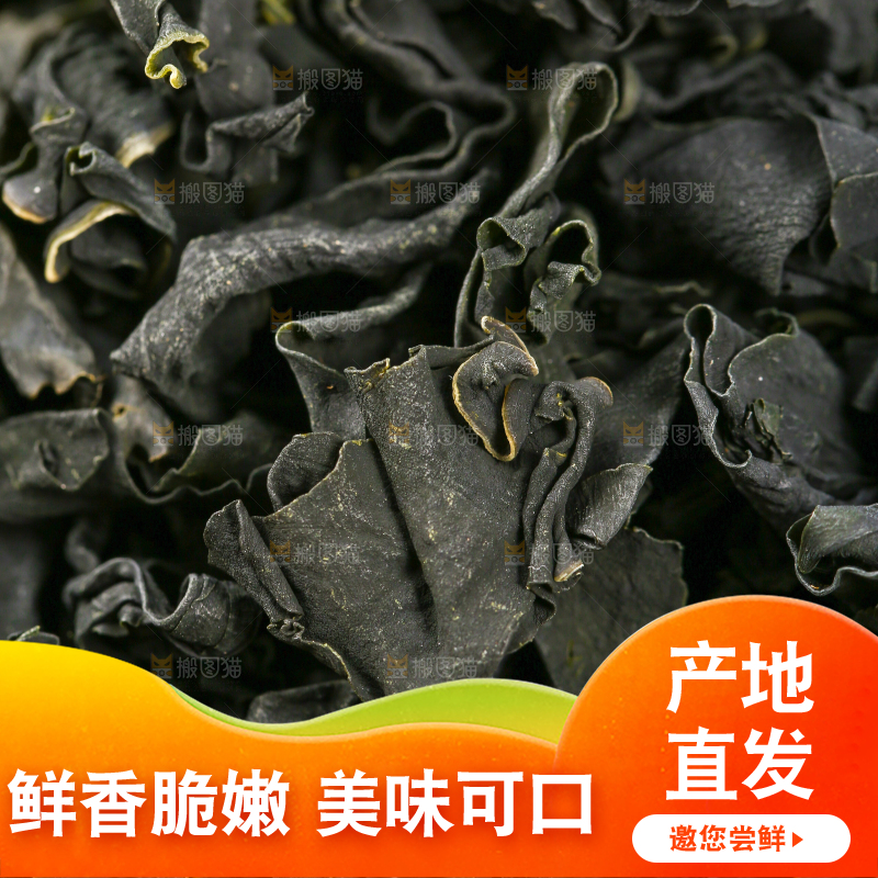 深底上的裙带菜