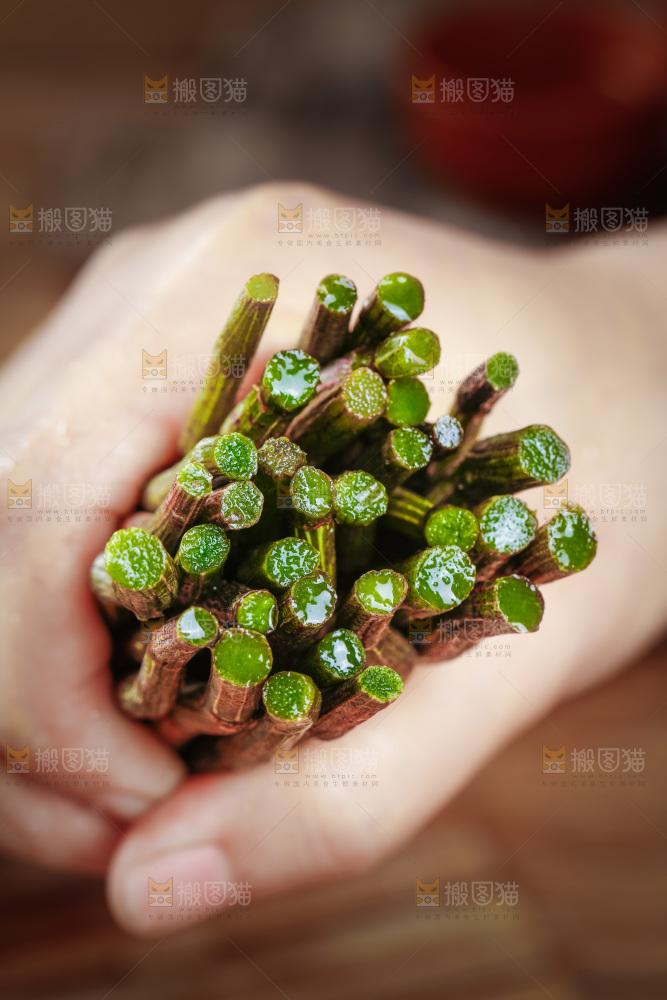 深底上的石斛鲜条
