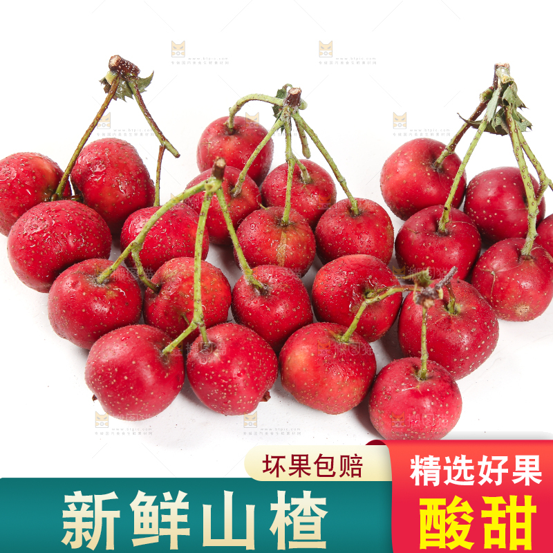白底上的新鲜山楂