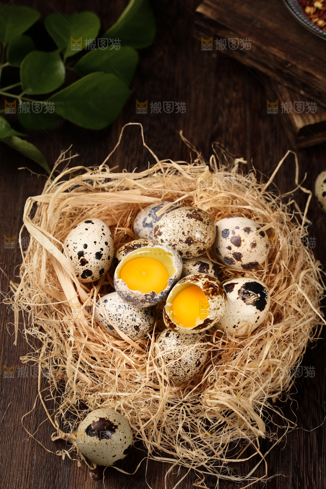 深底上的新鲜鹌鹑蛋