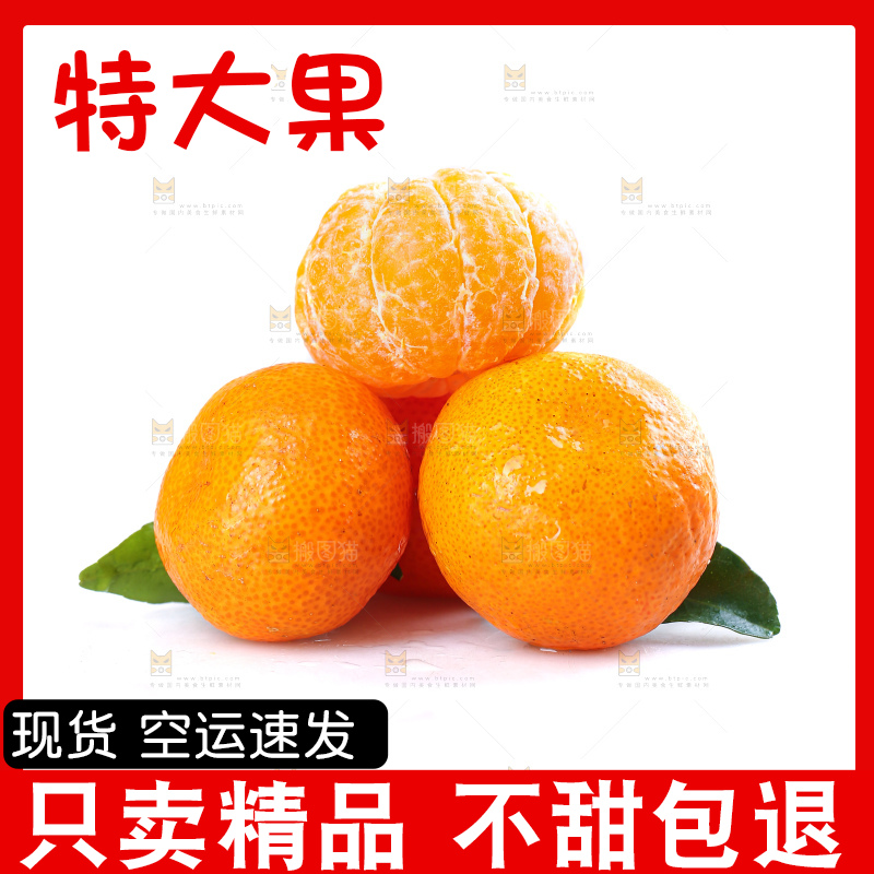 白底上的沙糖桔