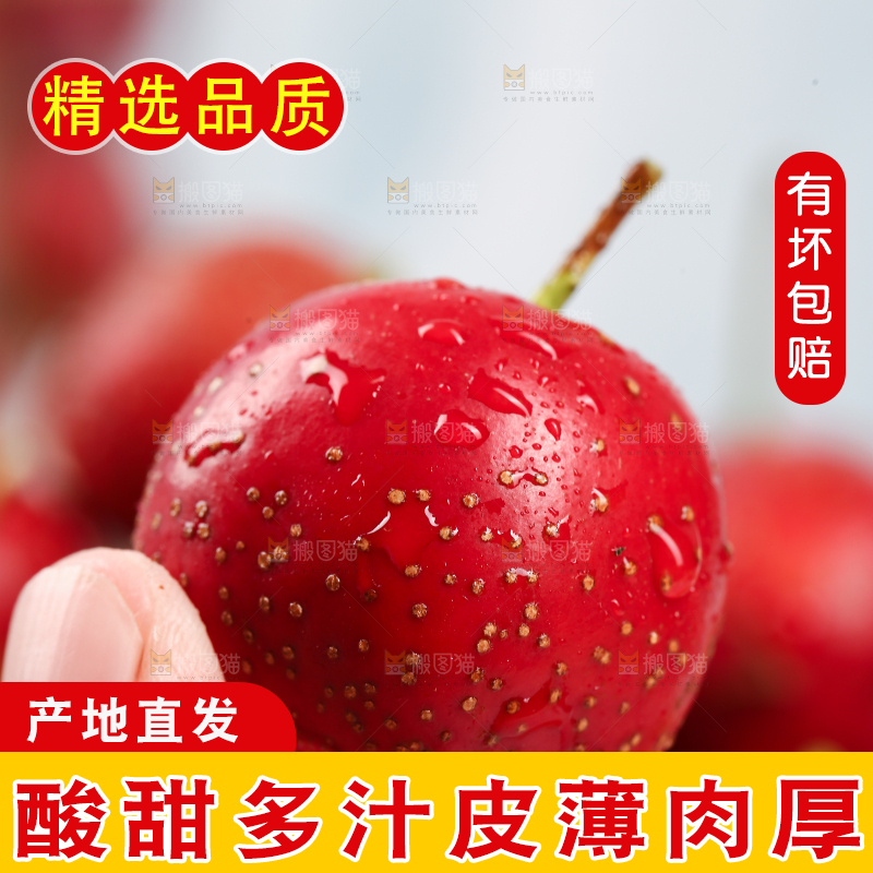 浅底上的新鲜山楂