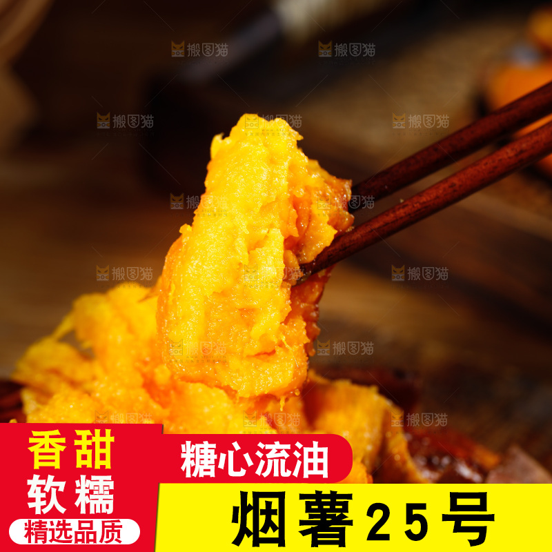 深底上的烟薯25号