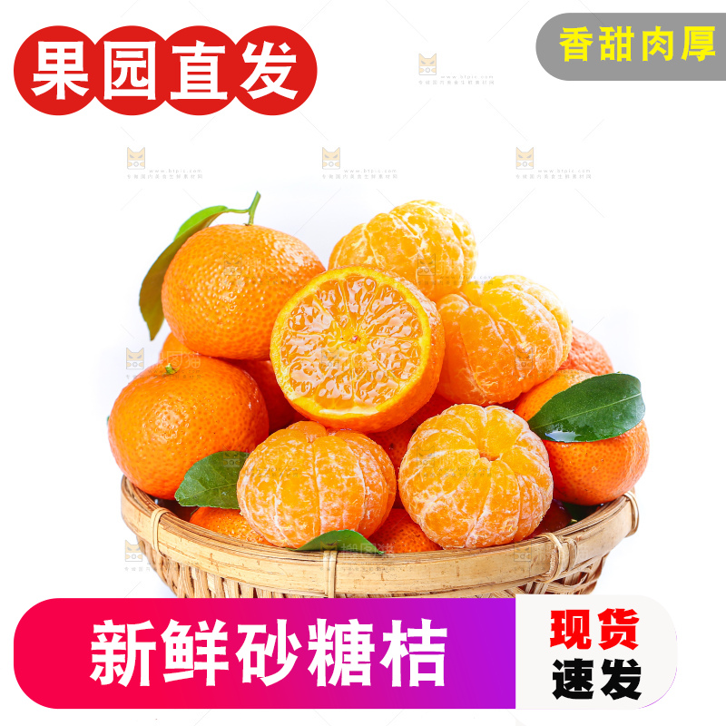 白底上的沙糖桔