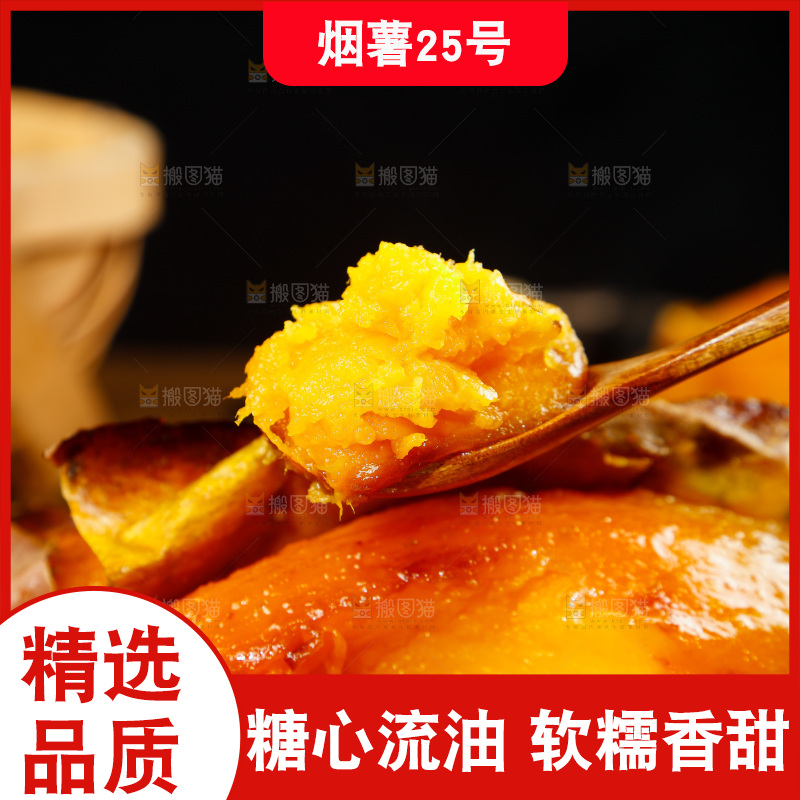 深底上的烟薯25号