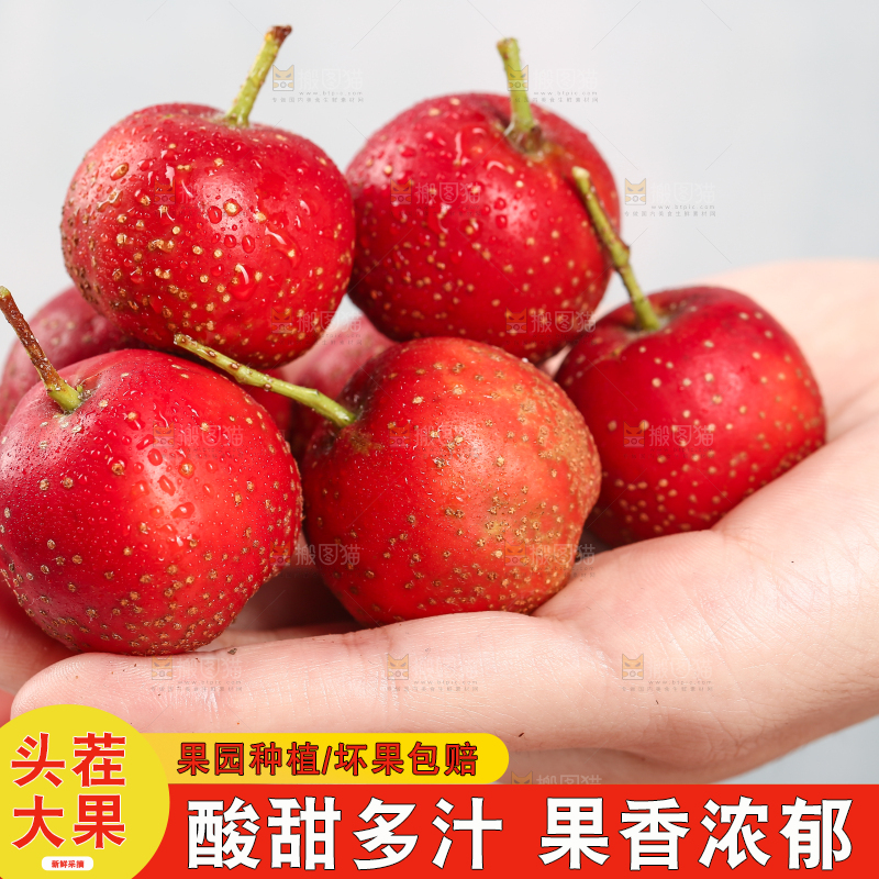 浅底上的新鲜山楂