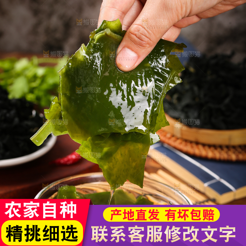深底上的裙带菜