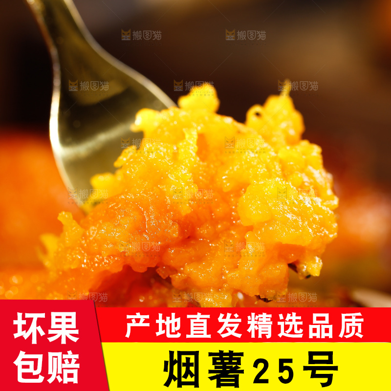 深底上的烟薯25号