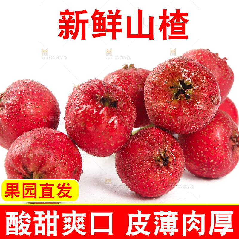 白底上的新鲜山楂