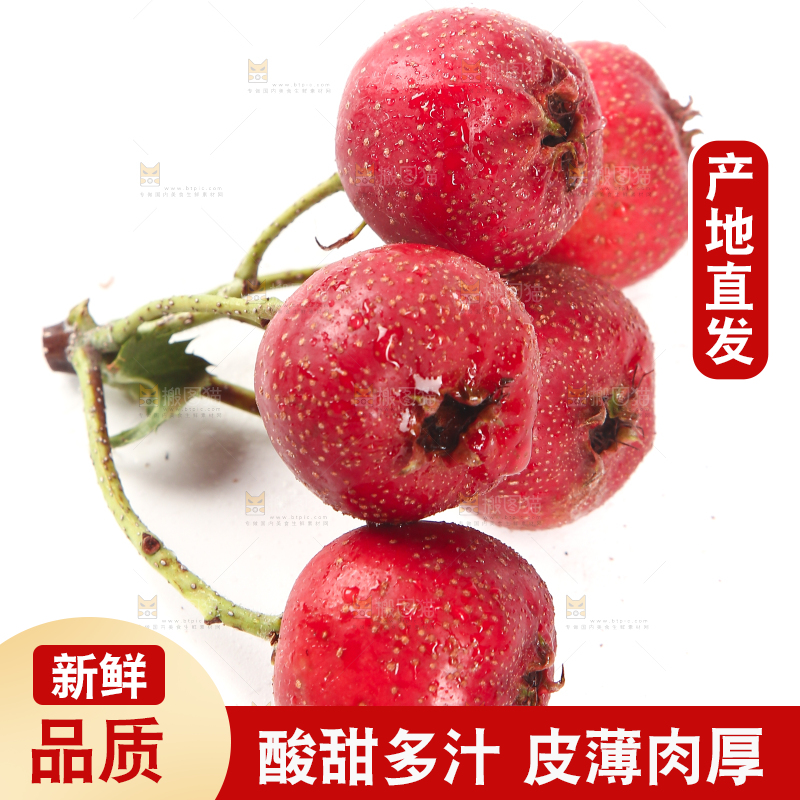 白底上的新鲜山楂