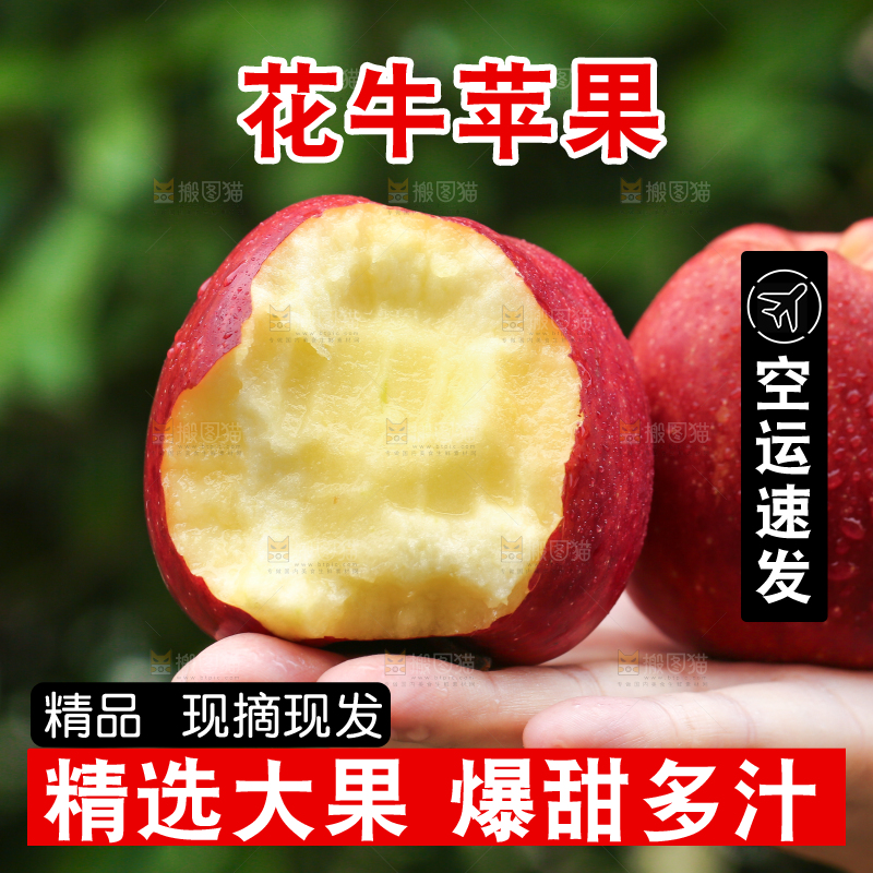 手里拿着花牛苹果