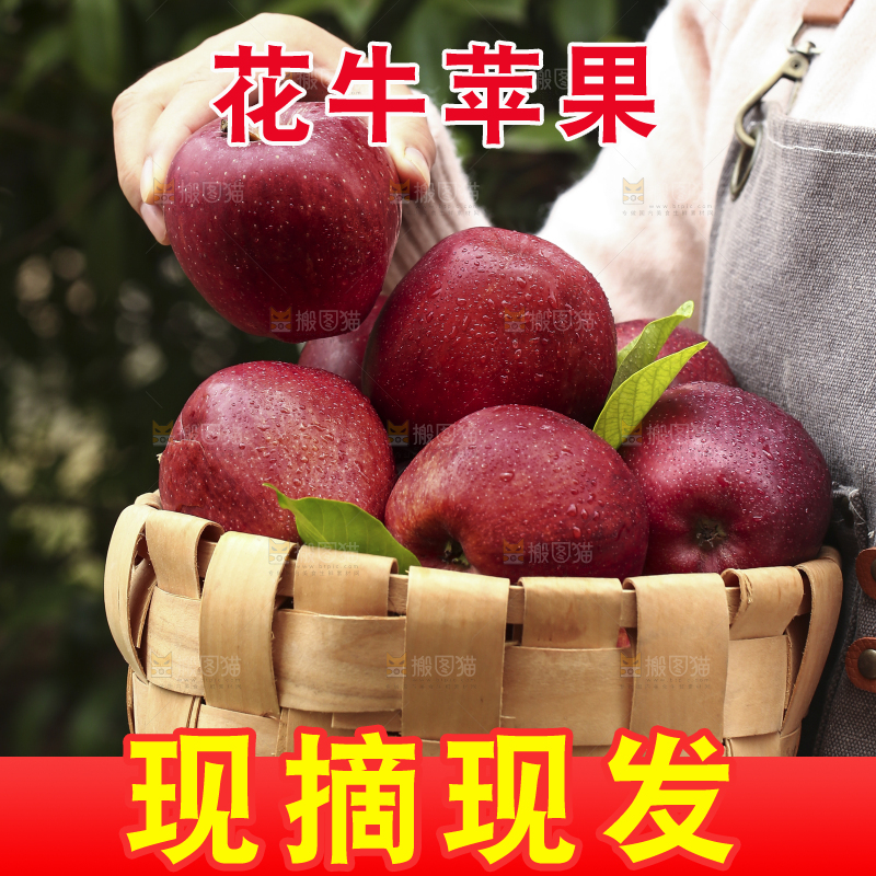 手里拿着花牛苹果