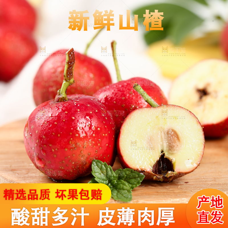 浅底上的新鲜山楂