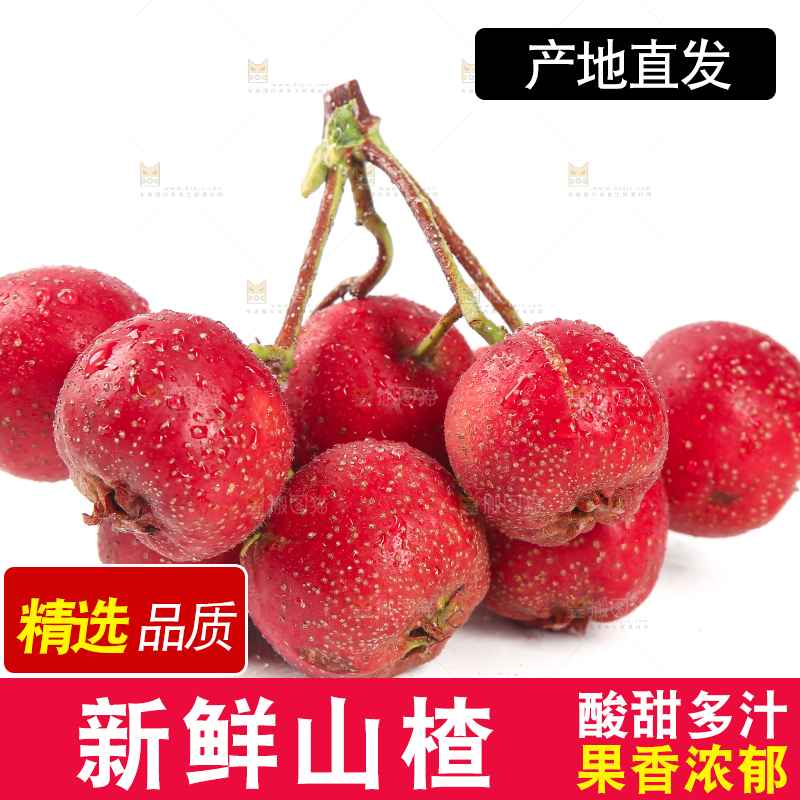 白底上的新鲜山楂