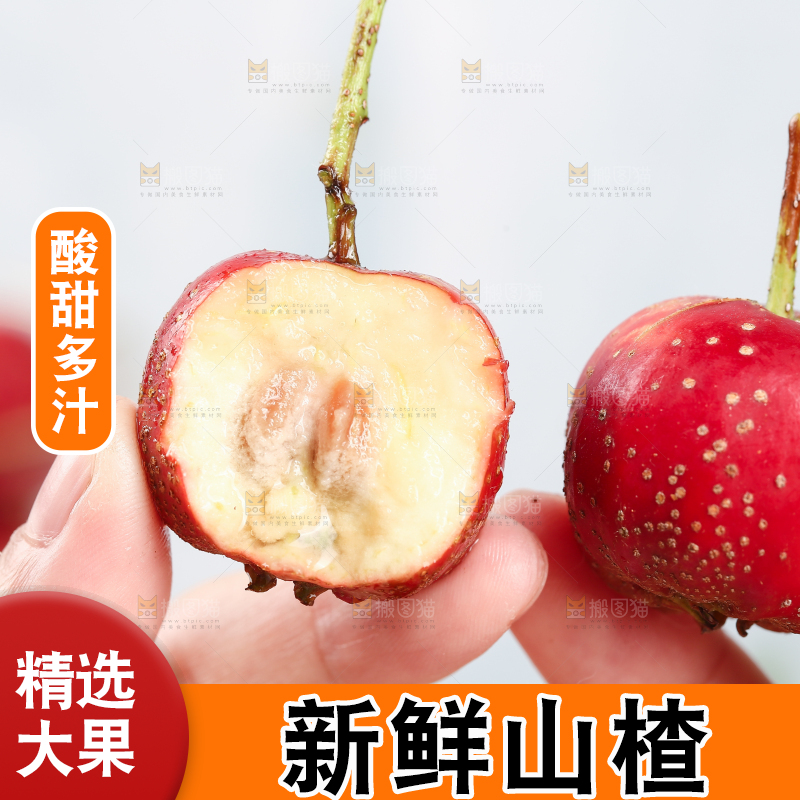 浅底上的新鲜山楂