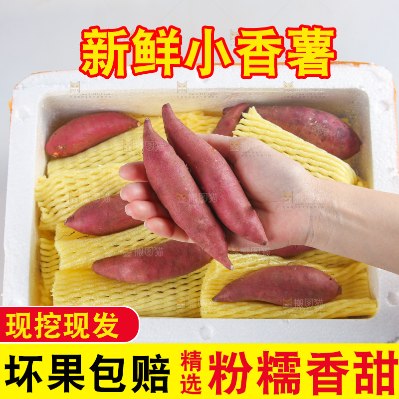 白底上的临安小香薯