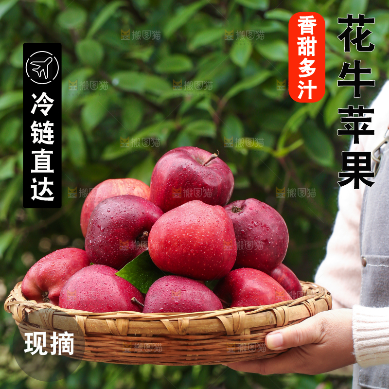 手里拿着花牛苹果