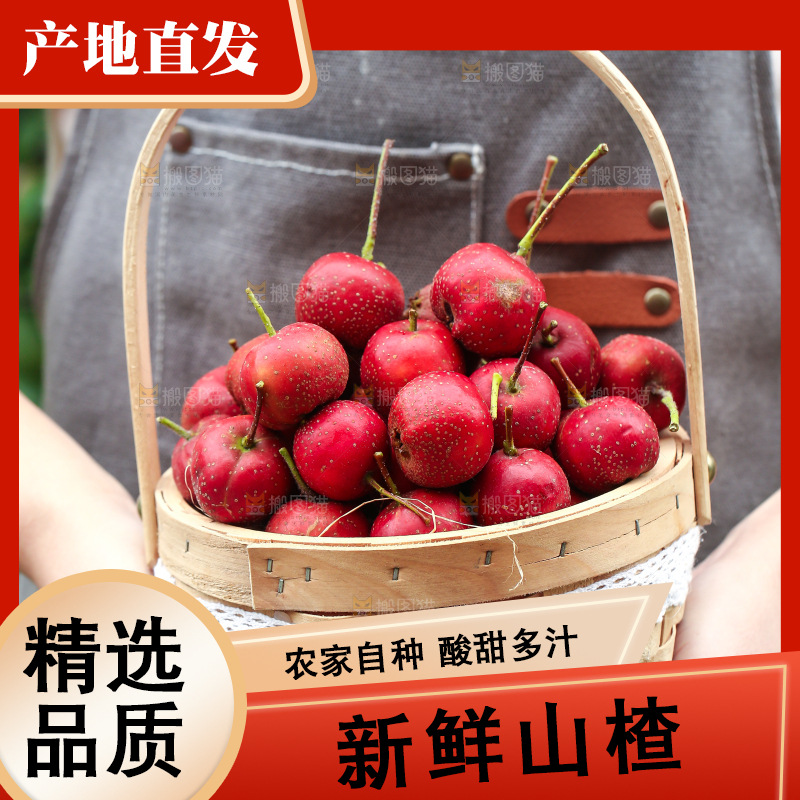 手里拿着新鲜山楂