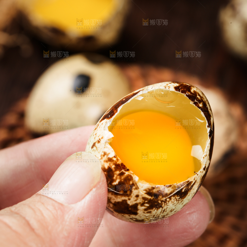 深底上的新鲜鹌鹑蛋