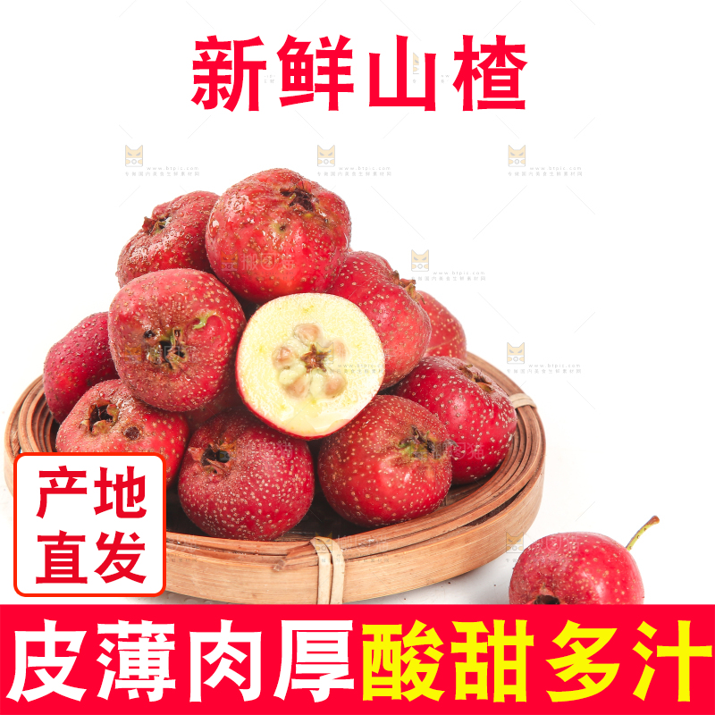 白底上的新鲜山楂