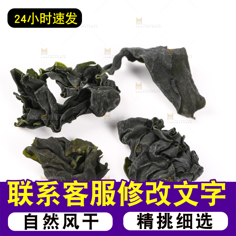 白底上的裙带菜