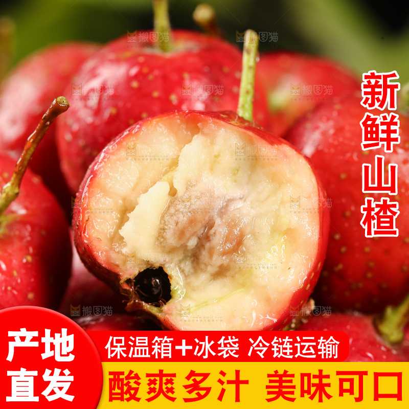 深底上的新鲜山楂